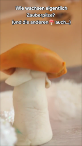 Wie entstehen Zauberpilze?